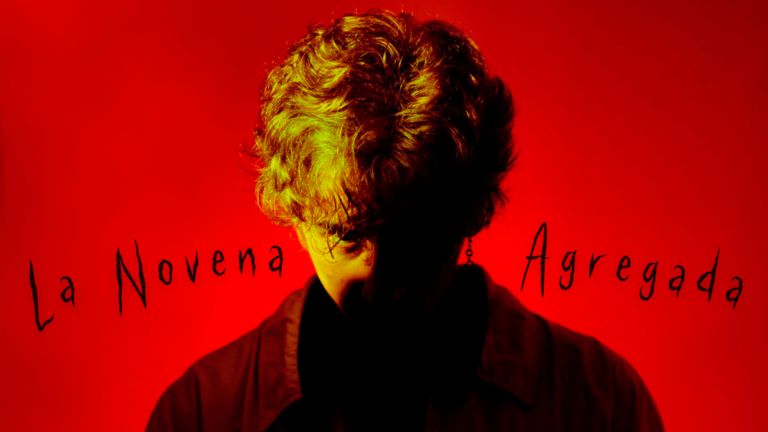 La Novena Agregada web