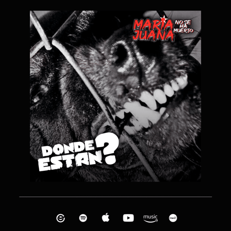 promo instagram dónde están